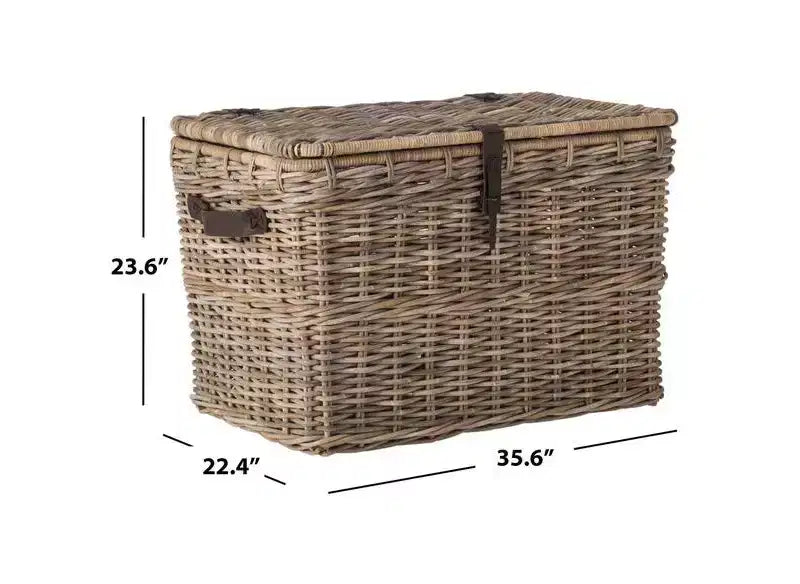 Baule portaoggetti in Rattan e Ferro con Coperchio Rimovibile Grigio 35.6''x22.4''x23.6''